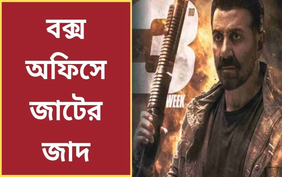 সানি দেওলের ‘জাট’ ১৭তম দিনেও বক্স অফিসে রাজত্ব অব্যাহত