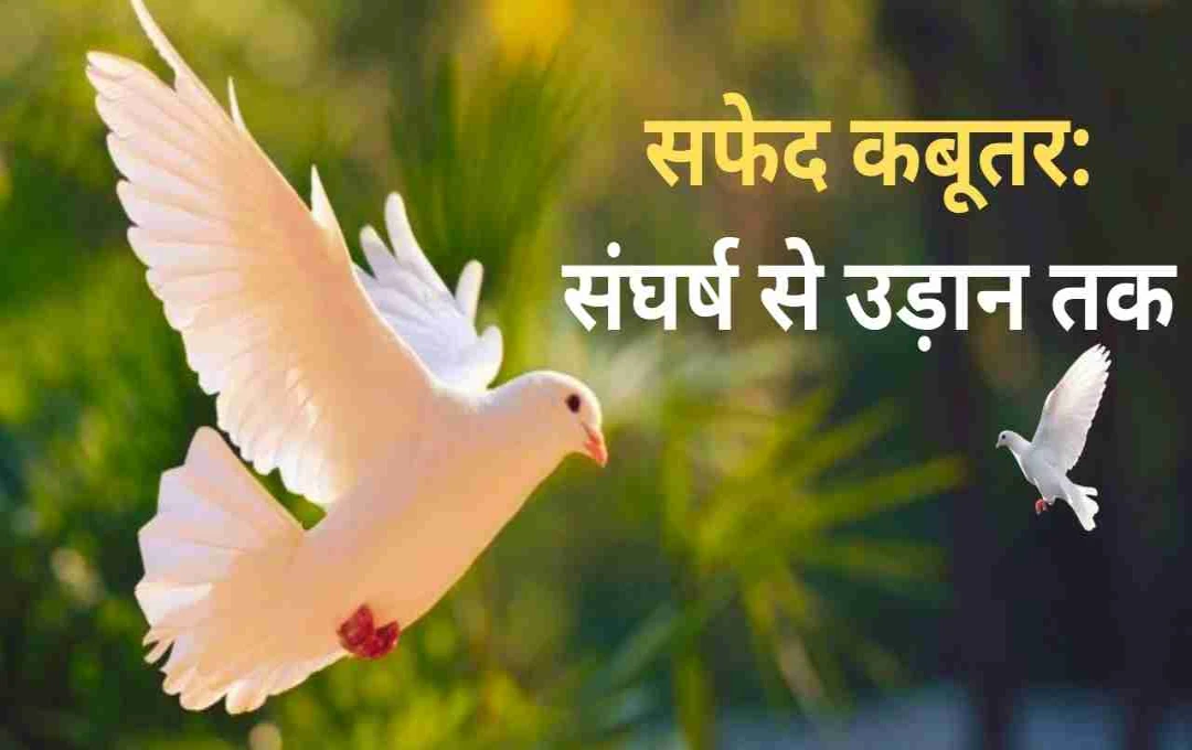 सफ़ेद कबूतर – एक भावनात्मक और मानसिक संघर्ष की कहानी