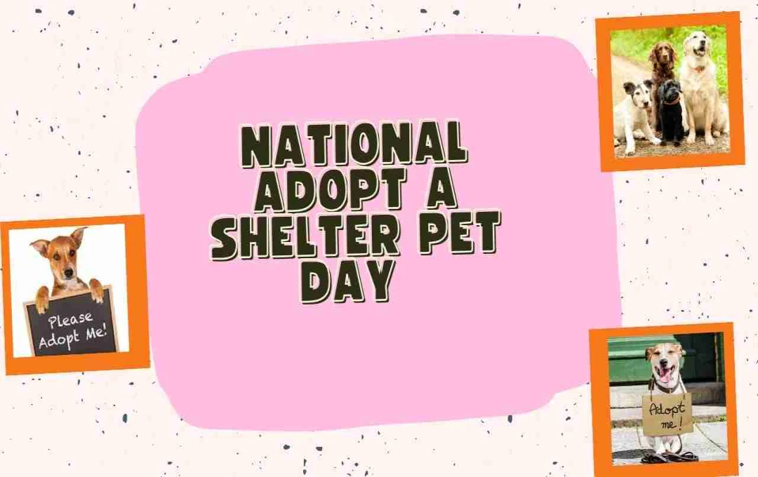 National Adopt a Shelter Pet Day 2025: बेसहारा जानवरों को अपनाकर दें प्यार और एक नया जीवन