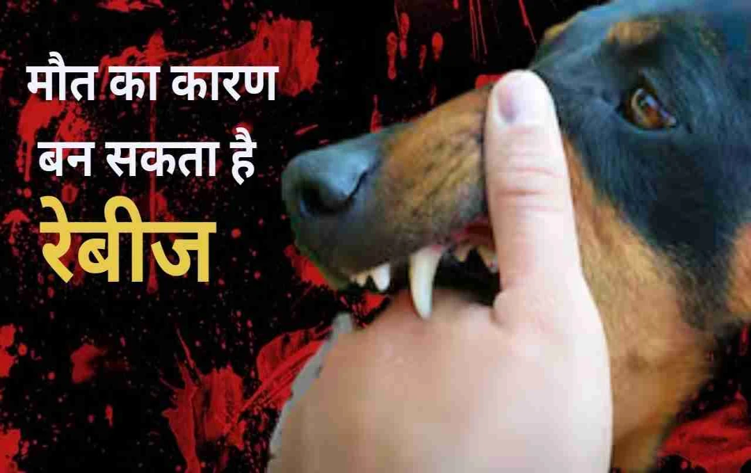 केरल में एक दुखद घटना, रेबीज से बच्ची की मौत; जानें क्या हैं पूरा मामला 