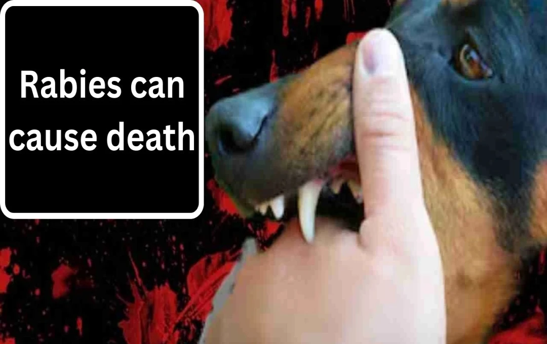 Kerala Girl Dies of Rabies Despite Vaccination, Underscoring Need for Urgent Wound Care