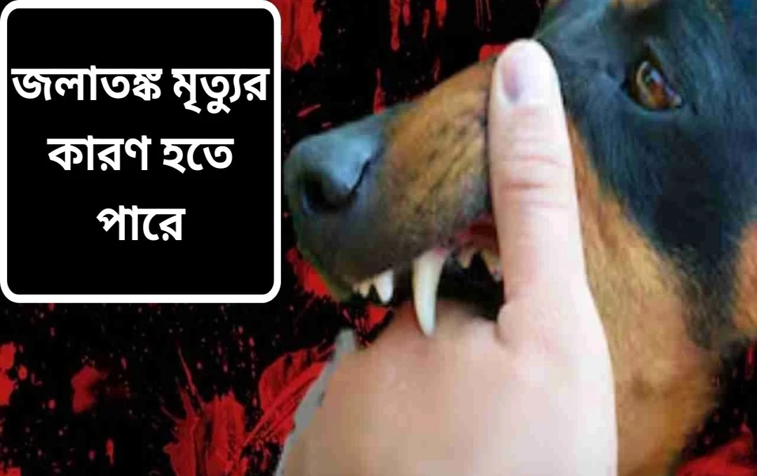 ৬ বছরের শিশুর র‌্যাবিজে মৃত্যু: টিকা সত্ত্বেও কেন?