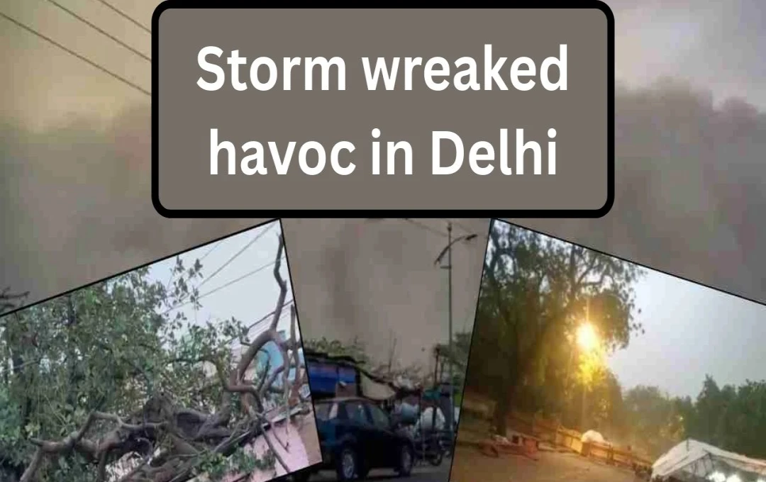 Delhi Storm: Tree Fall Kills Four, Including Three Children; Roof Collapse Traps Four