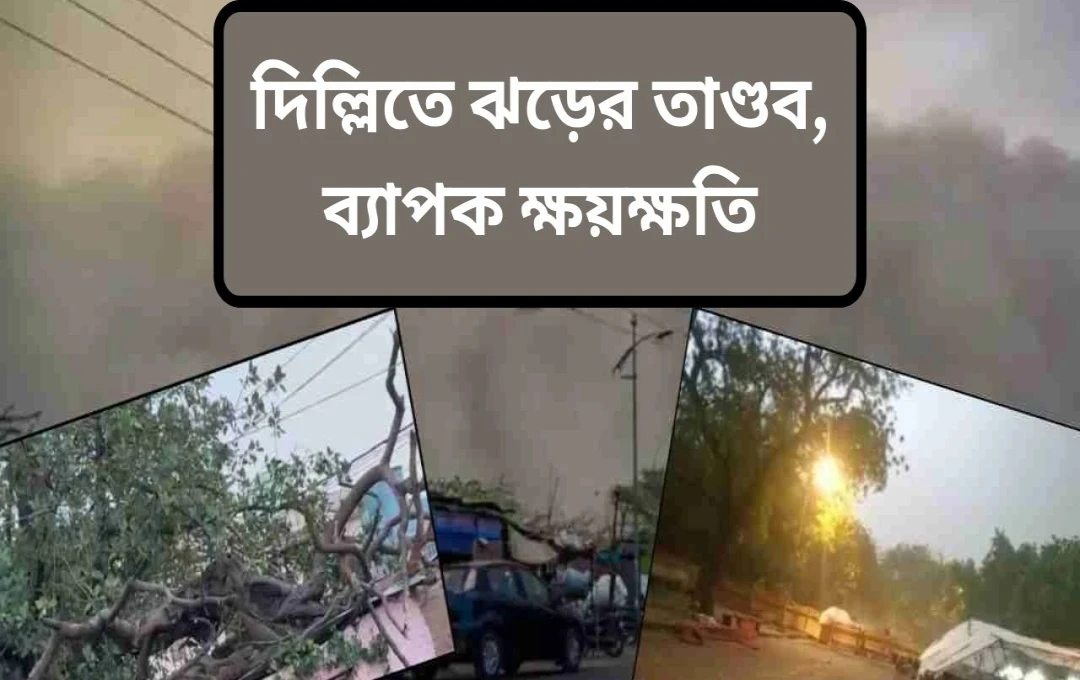 দিল্লির ভয়াবহ ঝড়ে চারজনের মৃত্যু, অনেকে আহত