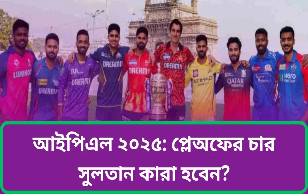 আইপিএল ২০২৫: প্লেঅফের লড়াইয়ে ৮ দলের তীব্র প্রতিযোগিতা
