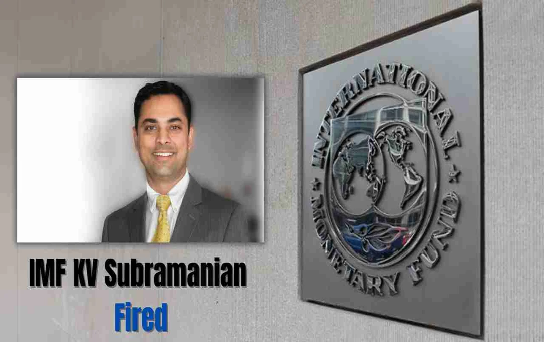 Pak फंडिंग समीक्षा से पहले बड़ा फैसला, IMF में भारत के प्रतिनिधि डॉ. सुब्रमण्यन ने दिया इस्तीफा
