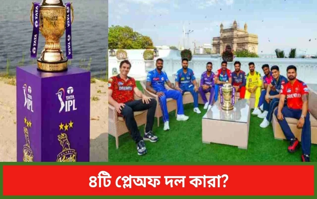 আইপিএল ২০২৫: প্লেঅফের লড়াইয়ে কোন দলের কী অবস্থা?