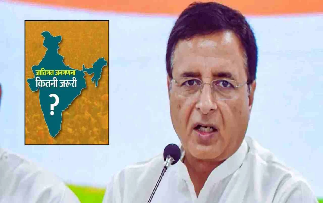 रणदीप सुरजेवाला का बड़ा दावा, बोले- 'बीजेपी ने 2011 की जाति जनगणना को कूड़ेदान में डाल दिया'