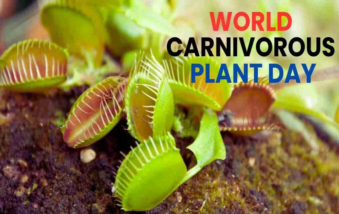 World Carnivorous Plant Day: Understanding and Protecting These Unique Plants