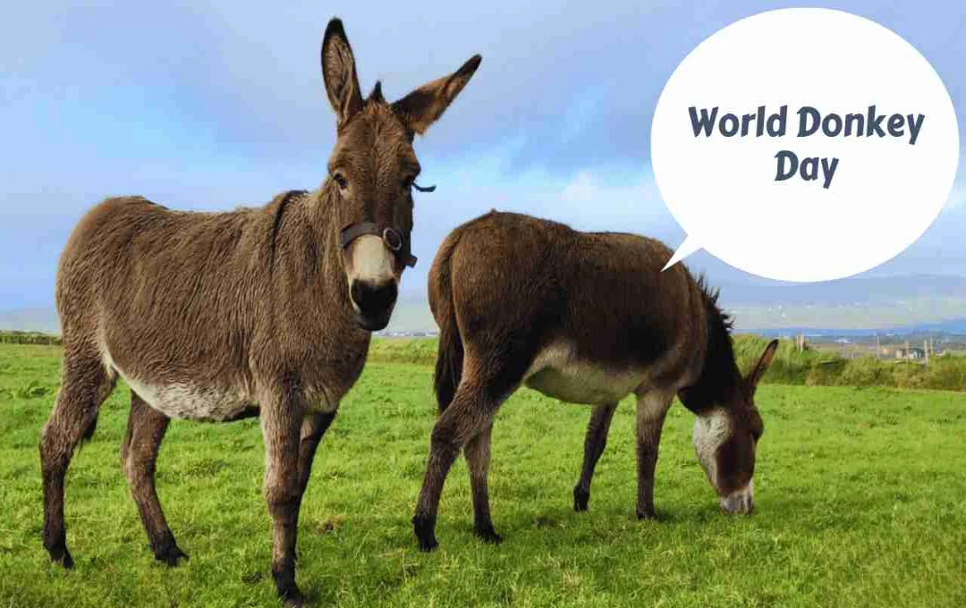 Celebrating World Donkey Day: Recognizing the Unsung Heroes