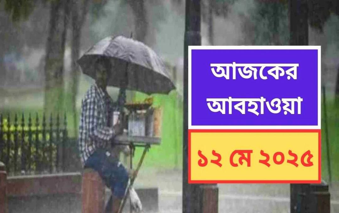 সারা ভারতে আবহাওয়ার পরিবর্তন: পূর্বাভাসে তাপপ্রবাহ ও বৃষ্টিপাতের সম্ভাবনা