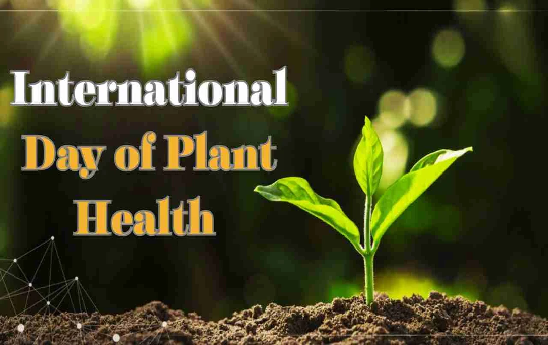 International Day of Plant Health 2025: पेड़ों की सेहत से जुड़ी धरती को राहत