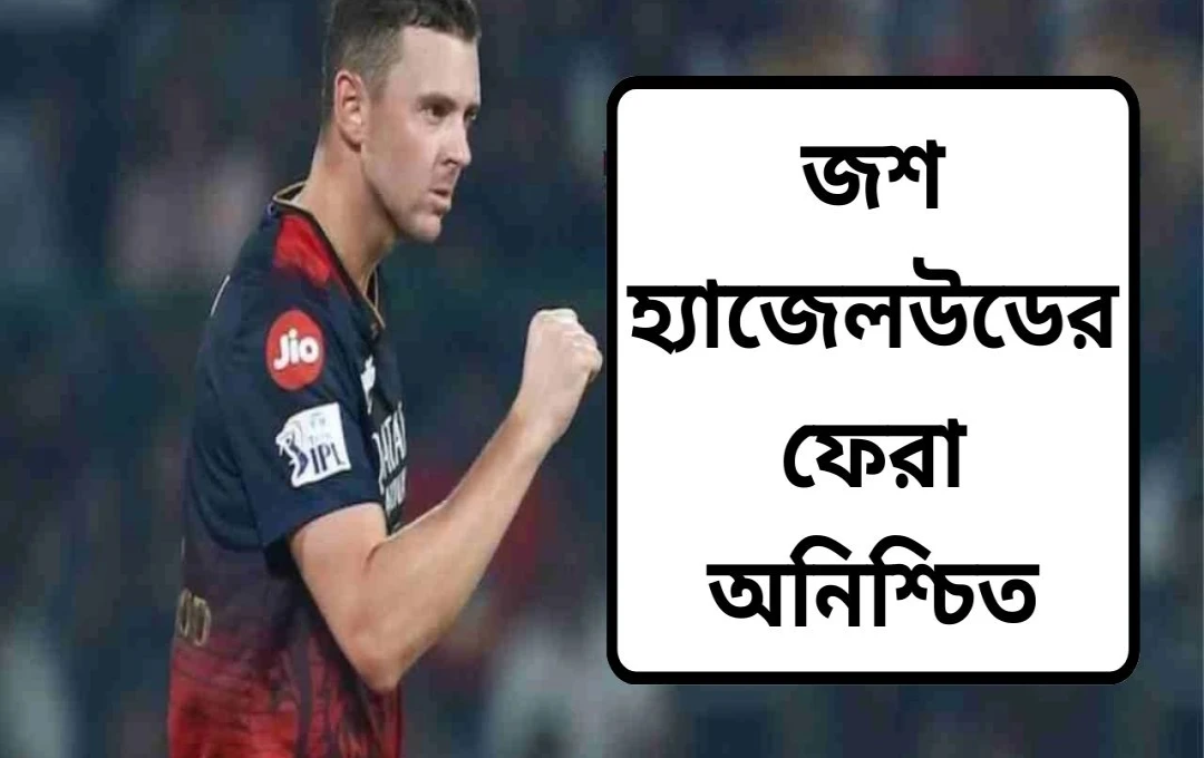 হেজেলউডের চোটে আরসিবির জন্য উদ্বেগ, আইপিএল ২০২৫ নিয়ে প্রশ্ন