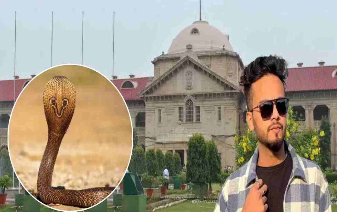 Allahabad High Court Rejects Elvish Yadav's Petition
