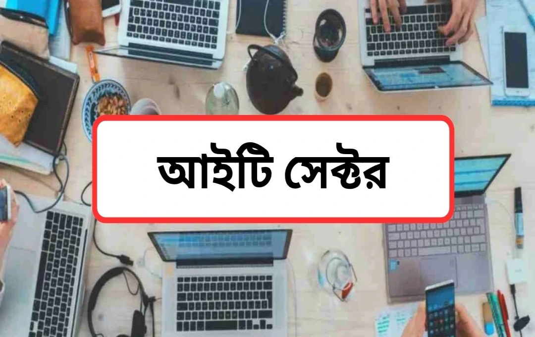 ভারতের আইটি সেক্টরে ১৬% কর্মসংস্থান বৃদ্ধি: দক্ষতাই এখন মূল চাবিকাঠি