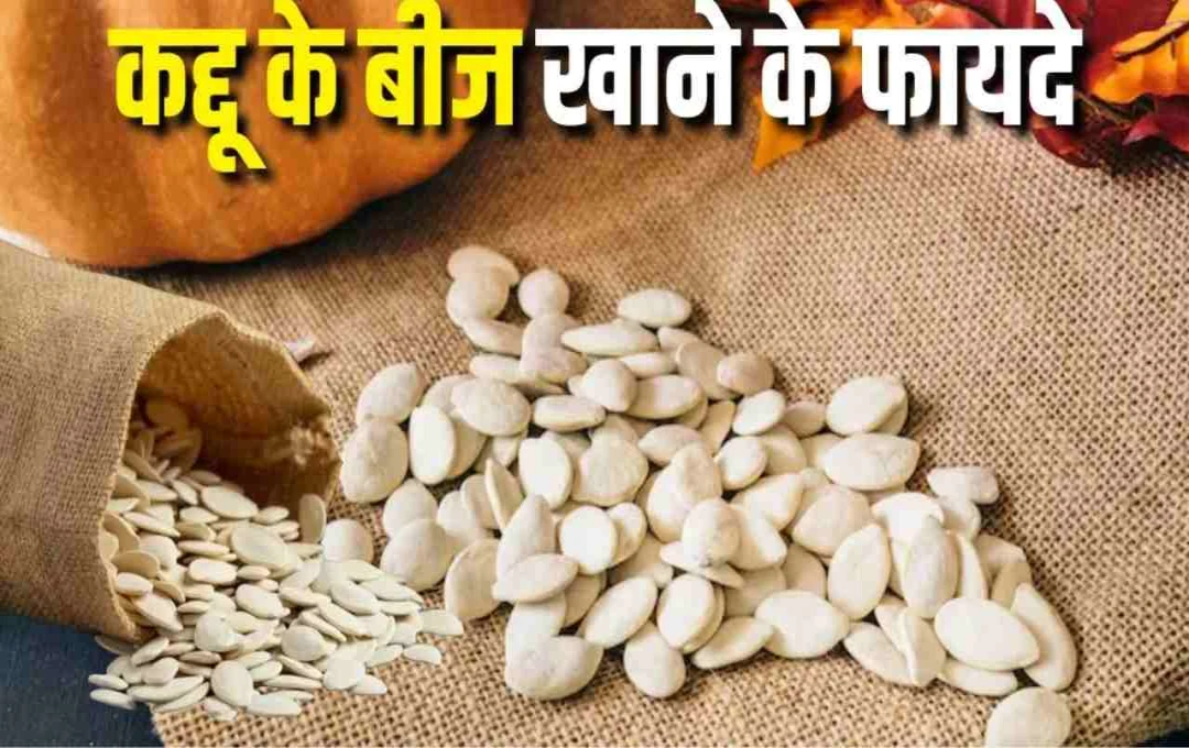 कद्दू के बीज: छोटे से दिखने वाले पोषण के खजाने के फायदे, जानिए इसके 9 आश्चर्यजनक लाभ