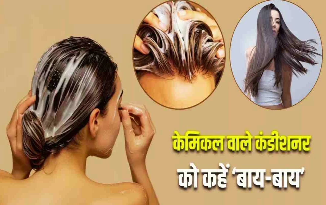 Naturally Hair Conditioner: रसोई की 3 सामग्री से पाए सिल्की और सॉफ्ट बाल