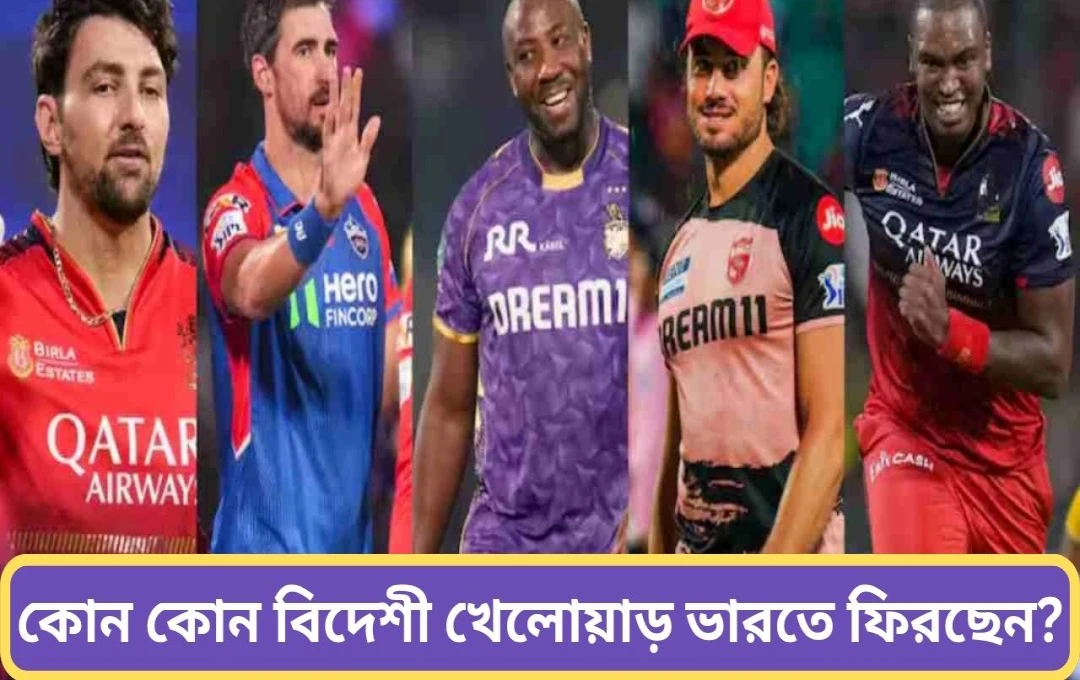 IPL ২০২৫: ভারত-পাকিস্তান উত্তেজনার পর ফিরছে কি না বিদেশি তারকারা?