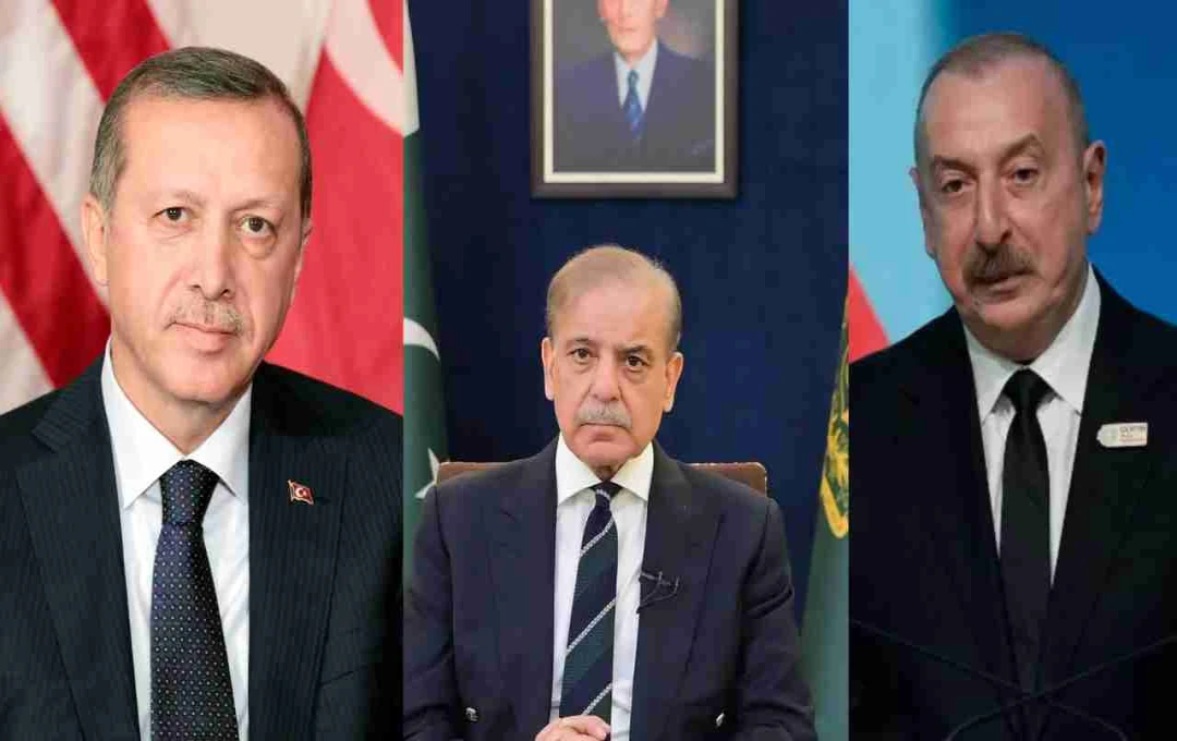 India's Anger Mounts as Turkey, Azerbaijan's Support for Pakistan After Pulwama Attack Sparks Boycott Calls