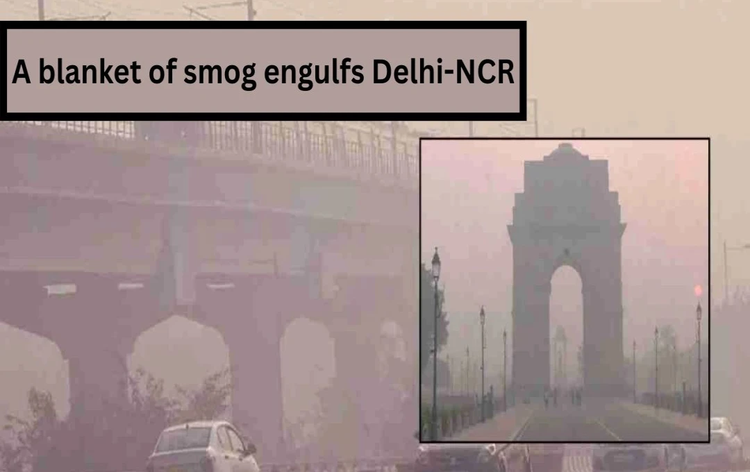 Delhi NCR Suffers Haze and 41°C Heatwave; AQI Shows Slight Improvement