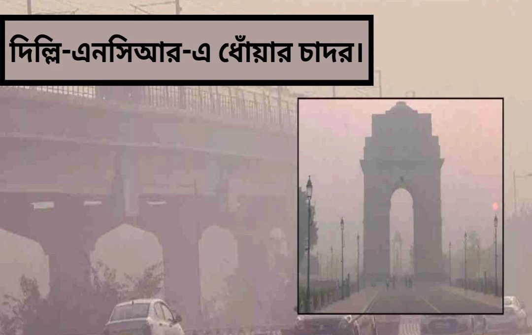 দিল্লি-এনসিআরে তীব্র গরম ও ঘন কুয়াশা: ৪১ ডিগ্রি পর্যন্ত তাপমাত্রা বৃদ্ধির আশঙ্কা