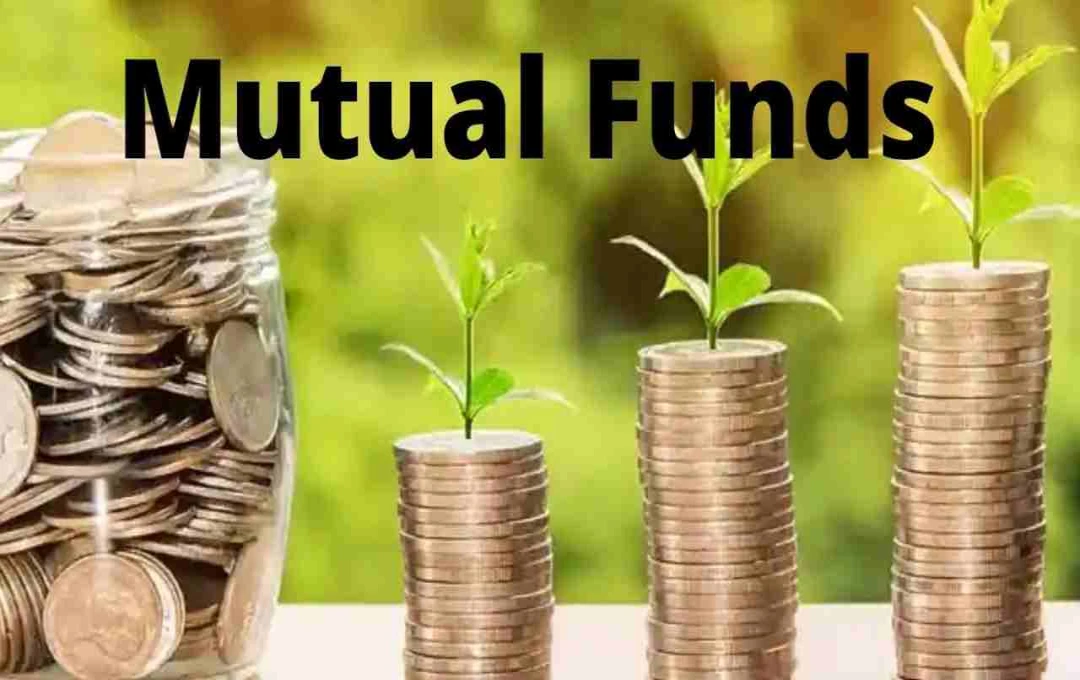 Mutual fund: म्यूचुअल फंड ने Reliance से मुँह मोड़ा, जानिए अब किन स्टॉक्स में हो रहा है भारी निवेश