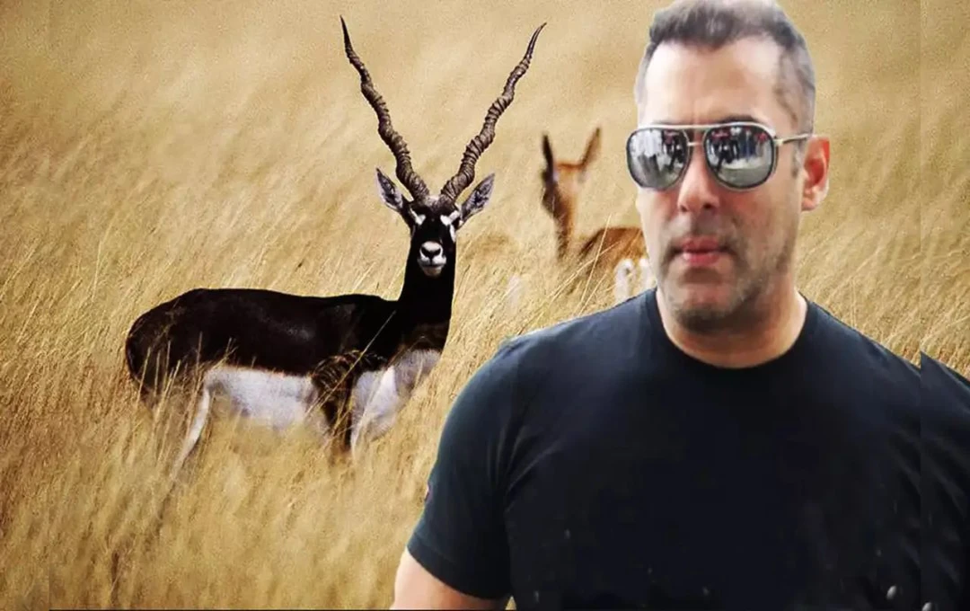 Salman Khan Blackbuck Poaching Case: 26 जुलाई को हाईकोर्ट में अपील सुनवाई