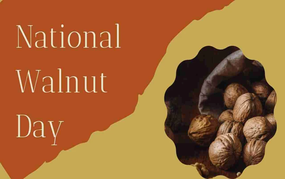 National Walnut Day: अखरोट के फायदे और इसे अपनी जिंदगी में शामिल करने का सही तरीका
