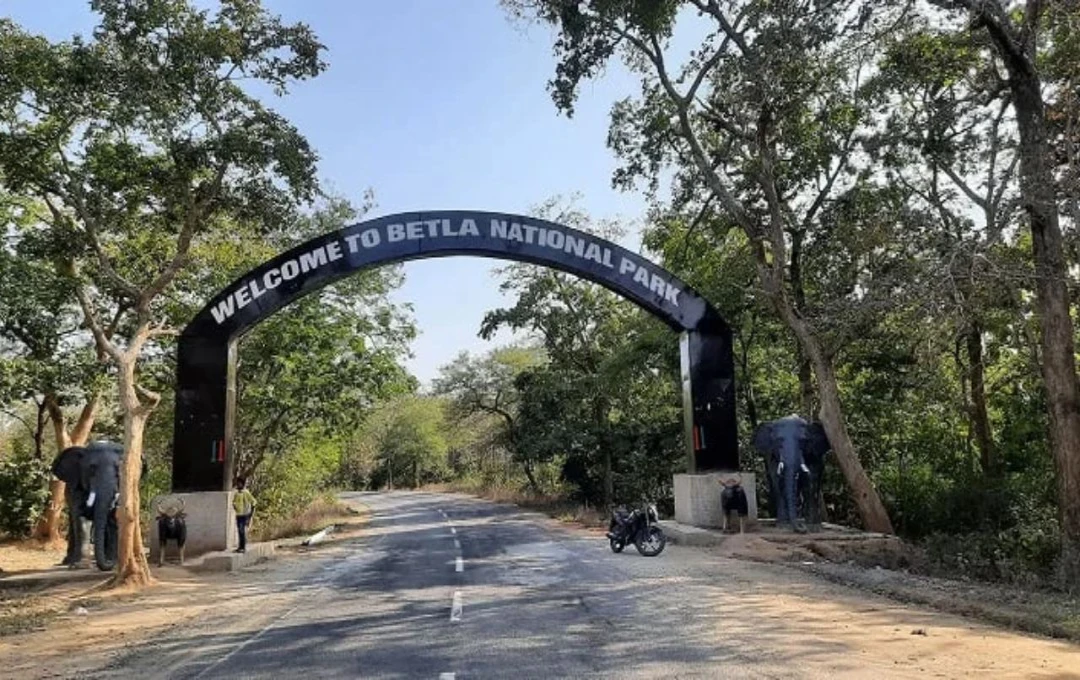बेतला राष्ट्रीय उद्यान: झारखंड की जैव विविधता का अनमोल खजाना
