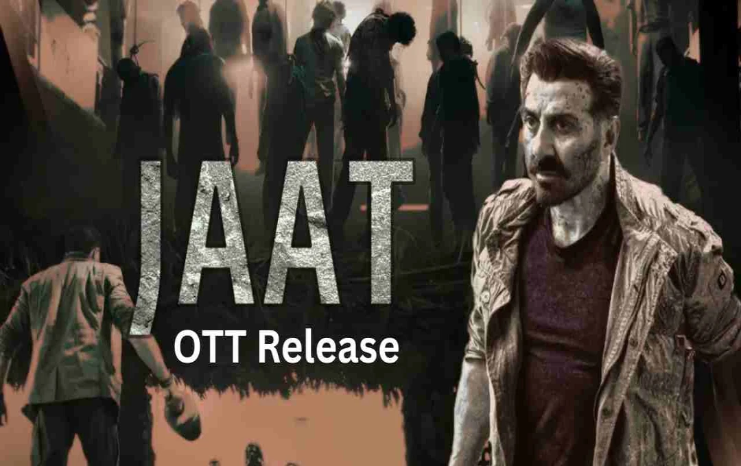 Sunny Deol's Blockbuster 