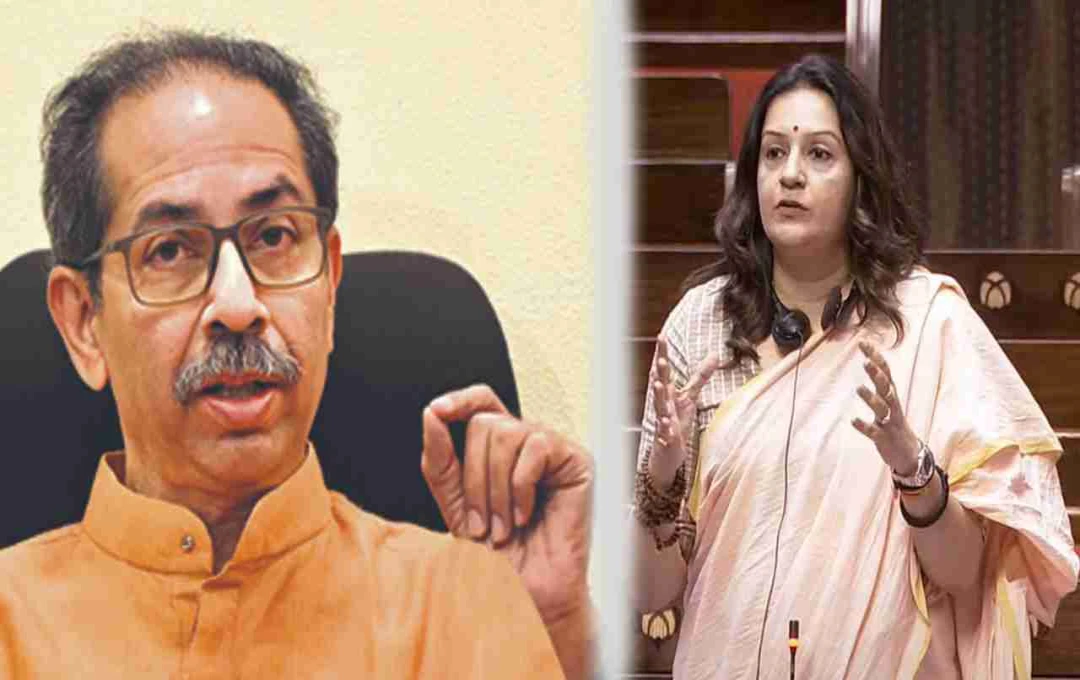 Shiv Sena (UBT) Joins Operation Sindhur Delegation, Showing National Unity