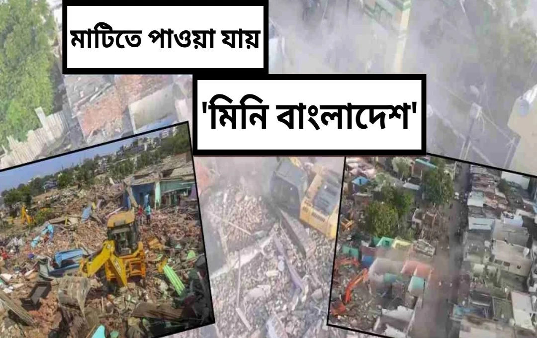 আহমেদাবাদে ৮৫০০ অবৈধ বাসস্থান ধ্বংস