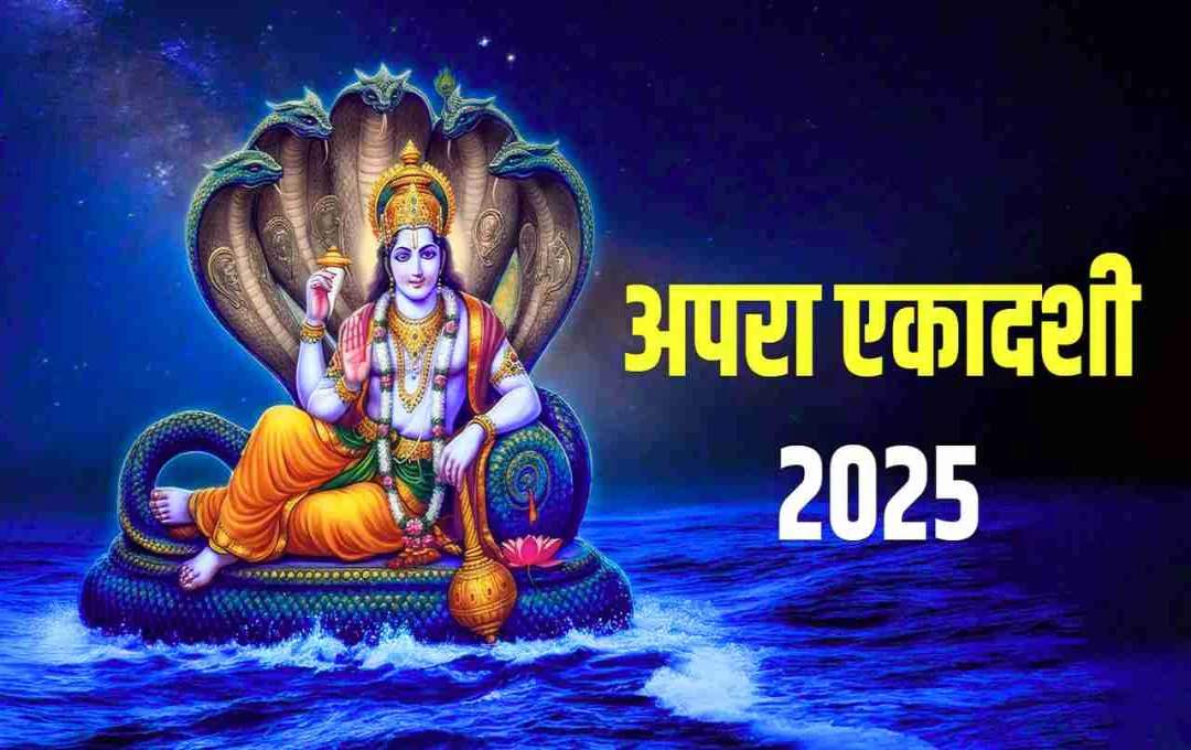 अपरा एकादशी 2025: अपनाएं ये उपाय और दान, जीवन में होगी धन-धान्य की अपार वृद्धि