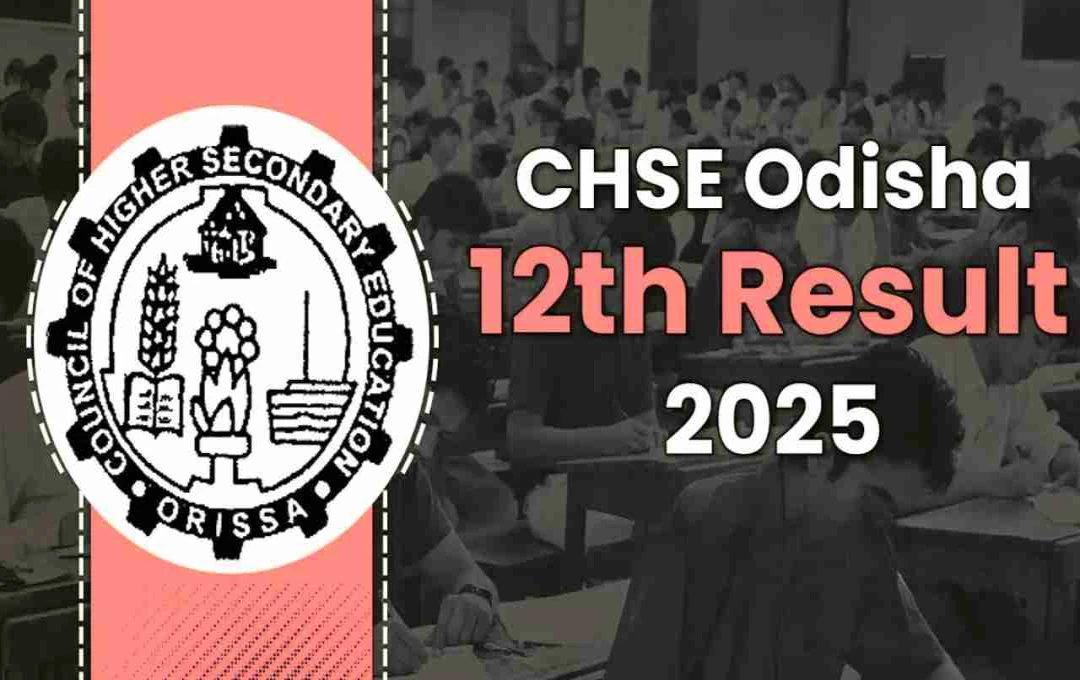Odisha Board Class 12 Results 2025 Released: Check Your Results Now