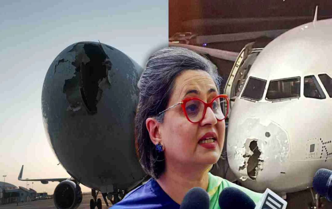 इंडिगो फ्लाइट में TMC सांसद सागरिका घोष का खौफनाक अनुभव – 'मौत जैसा एहसास', पायलट को बताया हीरो