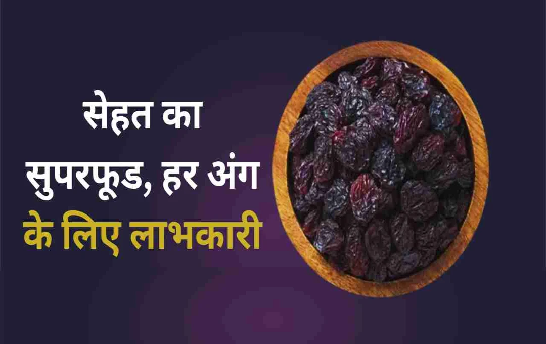 मुनक्का: सेहत का खजाना और इसे खाने का सही तरीका – जानिए कौन से अंगों के लिए है फायदेमंद
