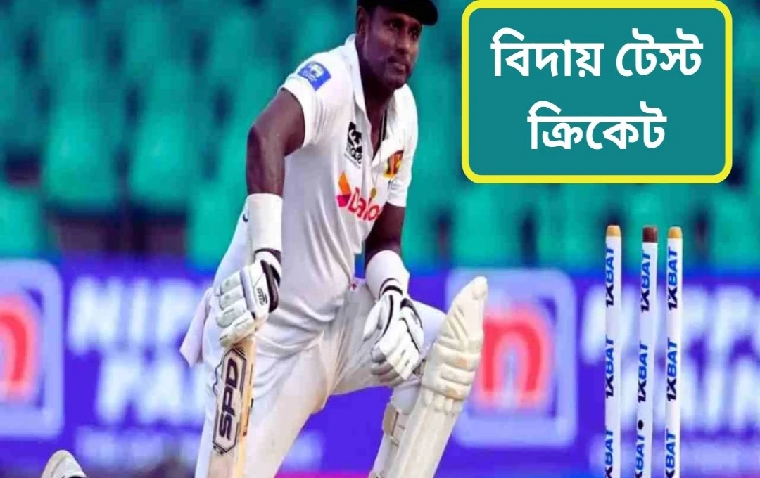 অ্যাঞ্জেলো ম্যাথিউজ টেস্ট ক্রিকেট থেকে অবসর