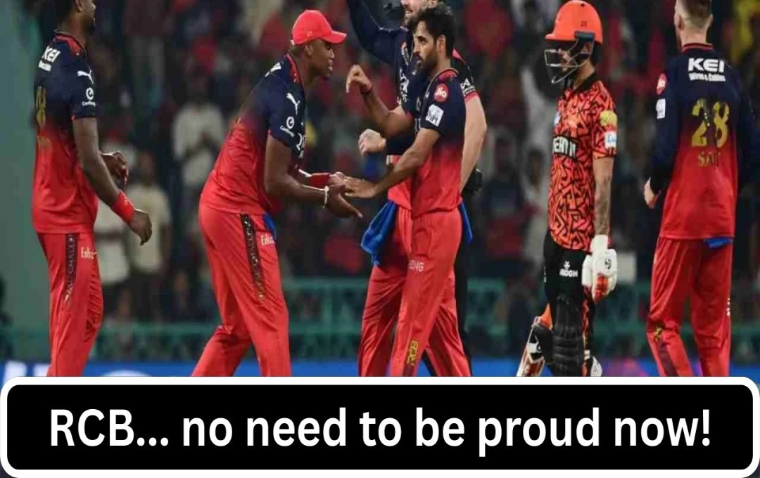 SRH Thrash RCB by 42 Runs, Effectively Ending RCB's Playoff Hopes