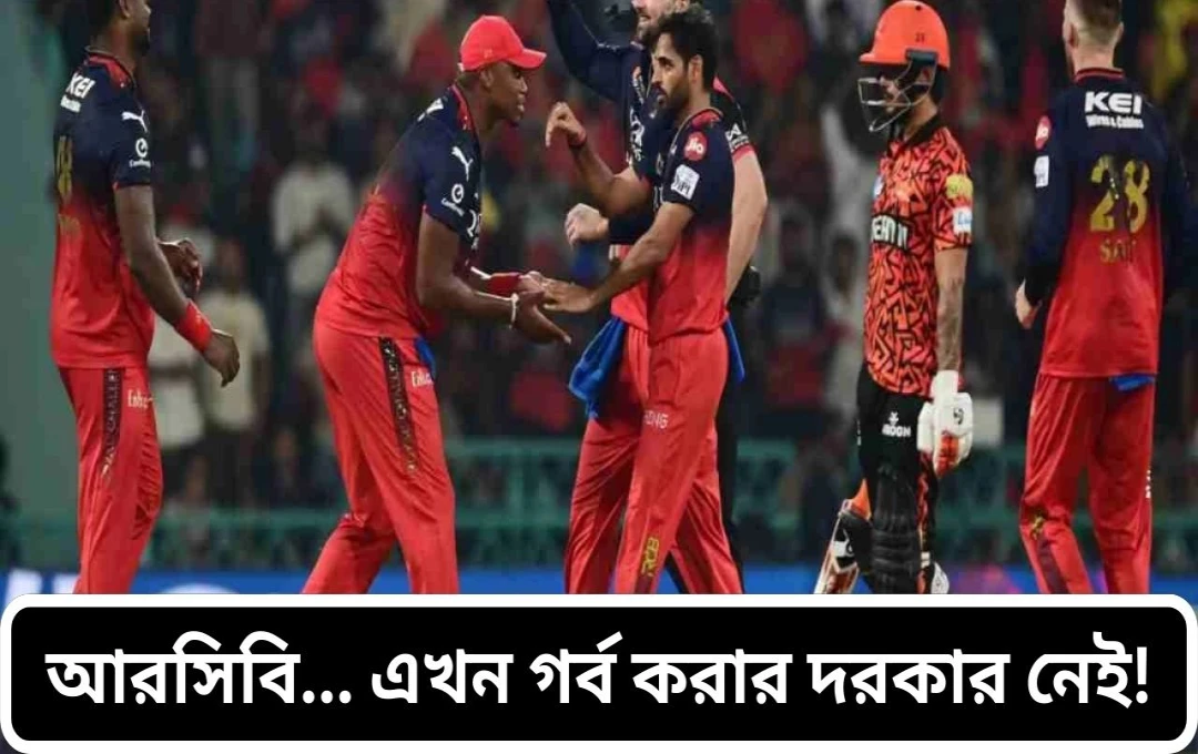 আইপিএল ২০২৫: SRH-এর কাছে RCB-এর ৪২ রানের পরাজয়, প্লে-অফের আশা ক্ষীণ