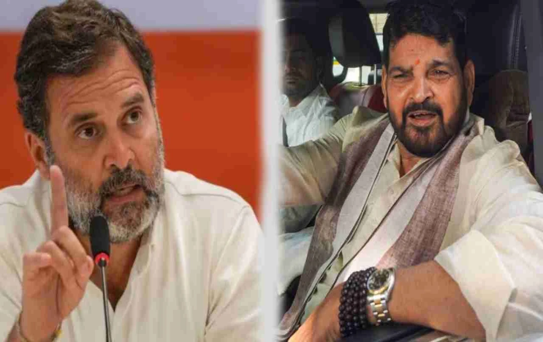BJP Leader Attacks Rahul Gandhi Over Pakistan's Praise of His Statements