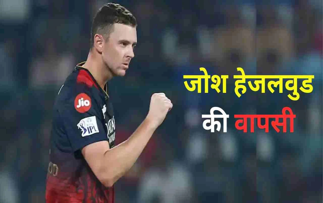 IPL 2025: RCB की ट्रॉफी जीतने की उम्मीदें बढ़ीं, जोश हेजलवुड हुए टीम में शामिल   