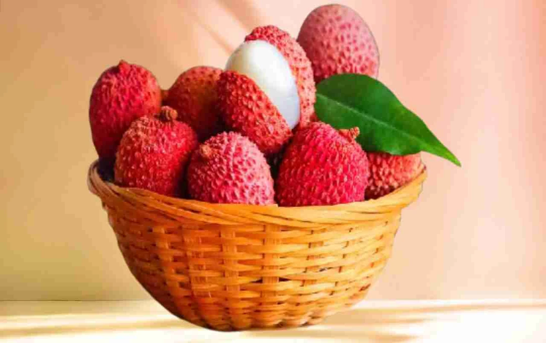 लीची की तासीर और सेहत पर प्रभाव: जानें इस मीठे फल के फायदे और खाने का सही तरीका