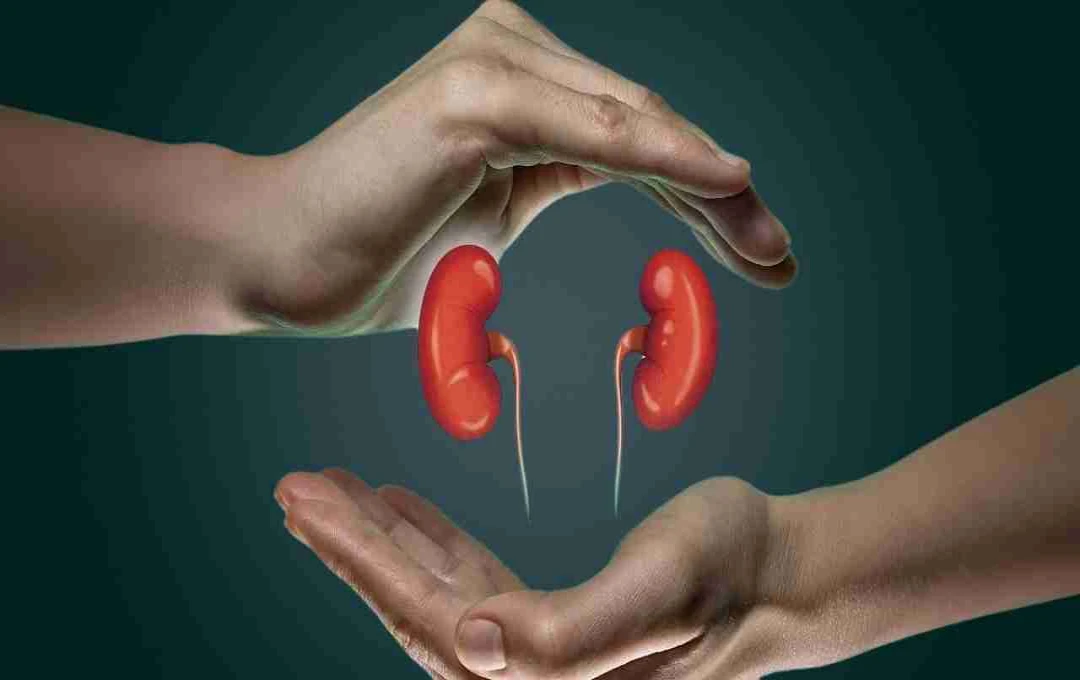 किडनी को रखें तंदुरुस्त: सिर्फ एक आदत से बढ़ाएं इसकी ताकत और प्राकृतिक रूप से करें डिटॉक्स