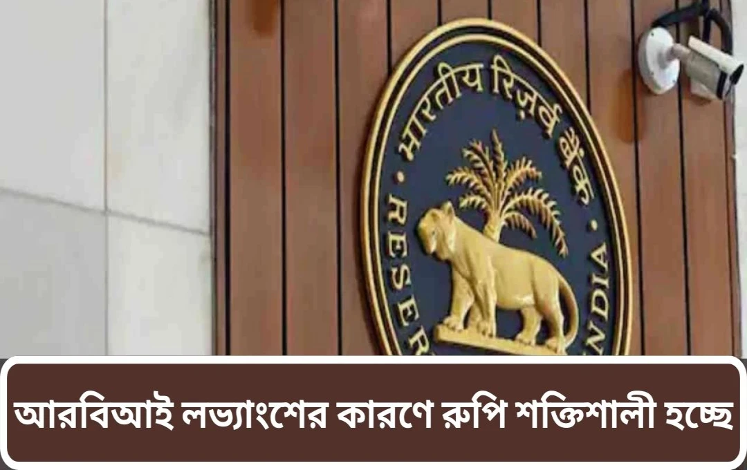 ভারতীয় টাকার উল্লেখযোগ্য উন্নতি: RBI-এর রেকর্ড ডিভিডেন্ড ও বিদেশি বিনিয়োগের প্রভাব