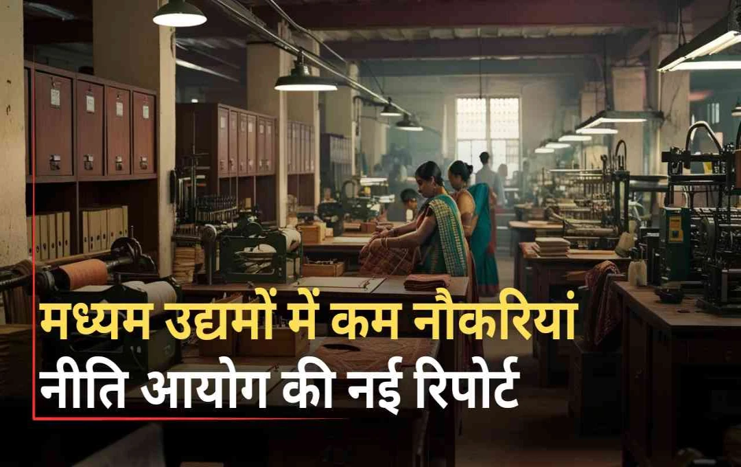 नीति आयोग की रिपोर्ट: मझोले उद्योगों में 12 लाख नए रोजगार सृजन के अवसर, लेकिन क्यों नहीं हो पा रहा है विकास?