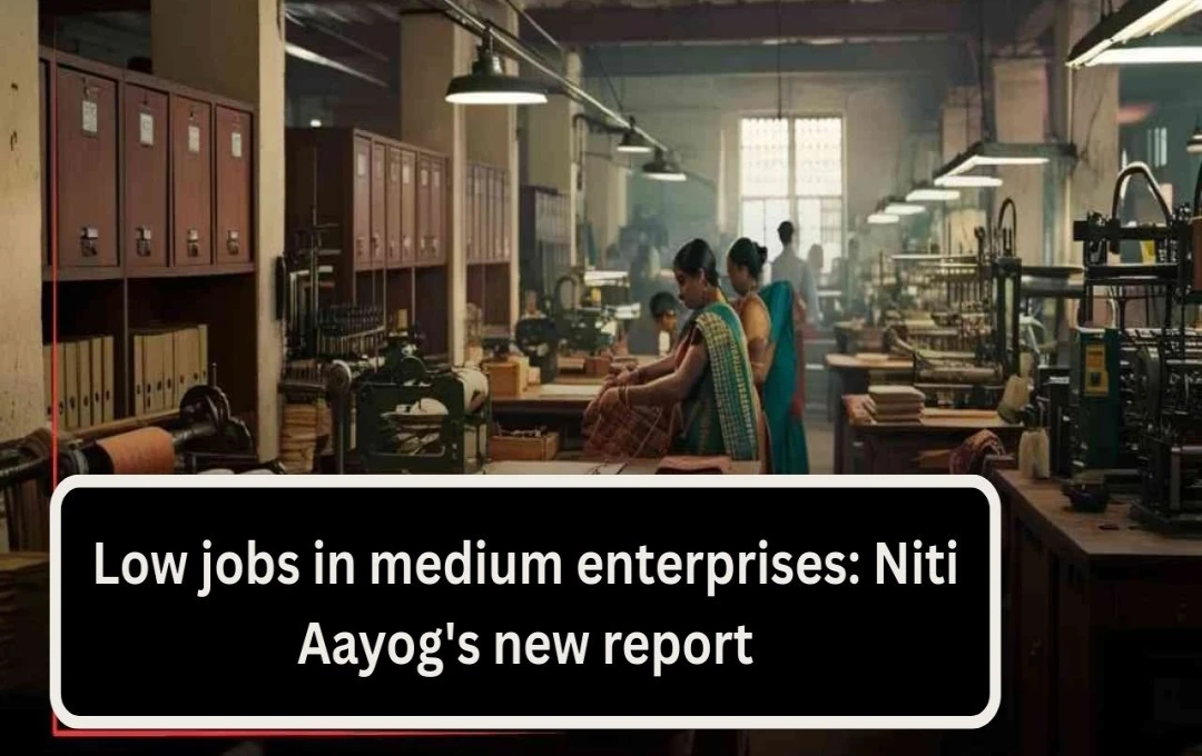 NITI Aayog Report Highlights Need for Policy Changes to Boost India's Medium Enterprises