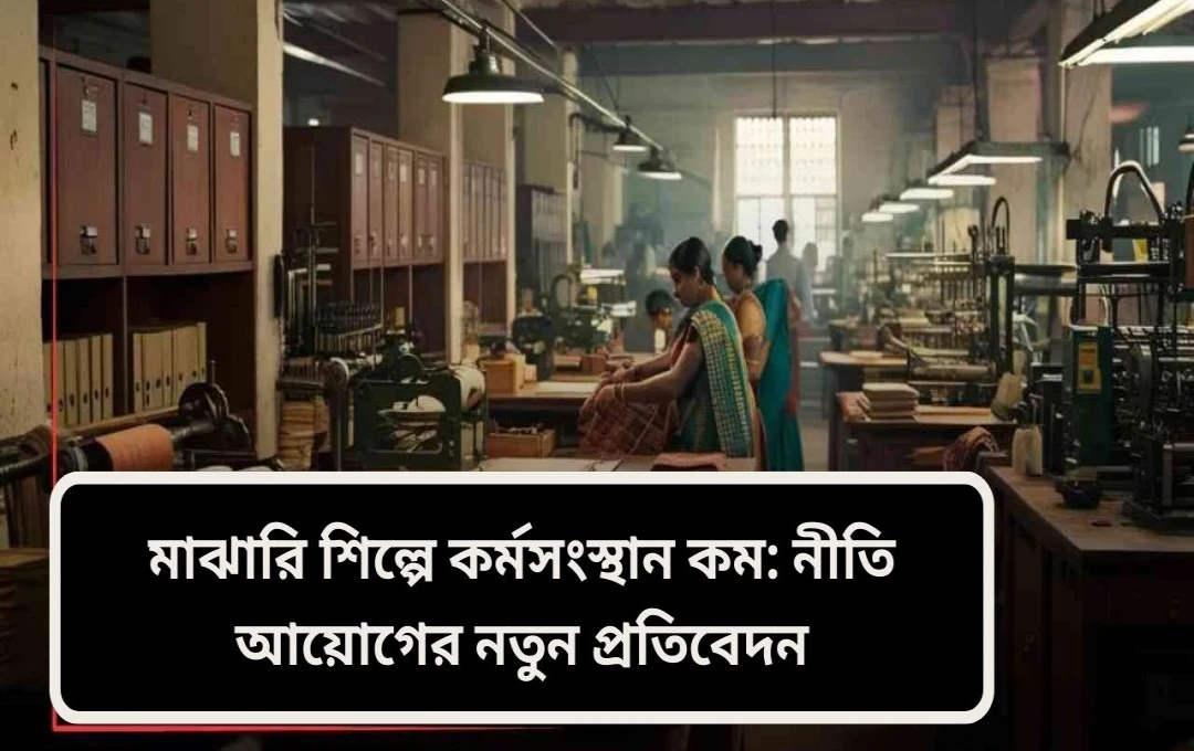 মাঝারি উদ্যোগ: বাংলাদেশের অর্থনীতিতে গুরুত্ব ও উন্নয়নের পথ