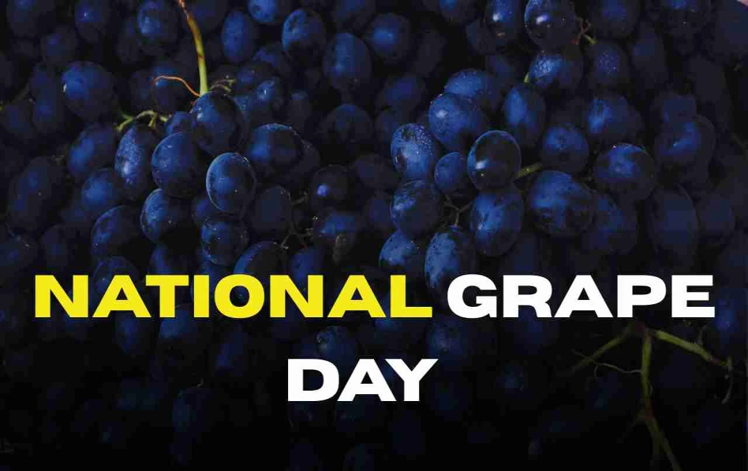 27 May: National Grape Day – अंगूर की मिठास का जश्न