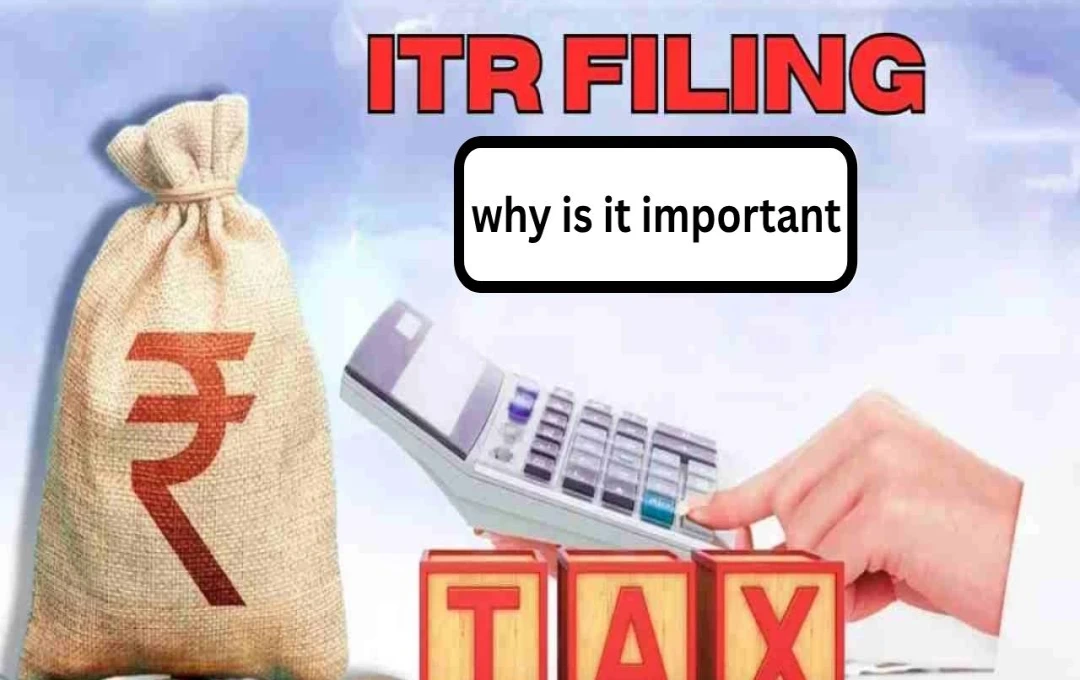 Understanding Mandatory Income Tax Return (ITR) Filing in India for 2025