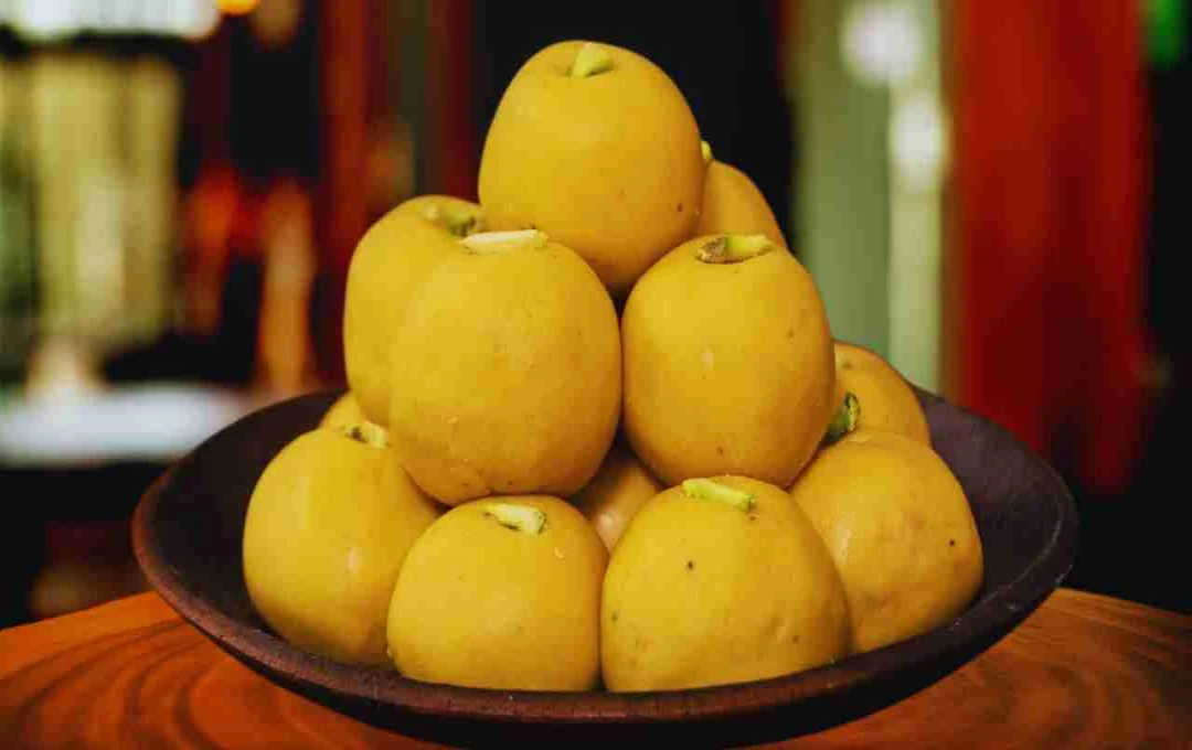 Homemade Besan Laddoos: A Delicious and Healthy Indian Sweet Treat